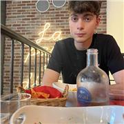 Studente disponibile per dare ripetizioni nelle zon e di venaria reale (TO)